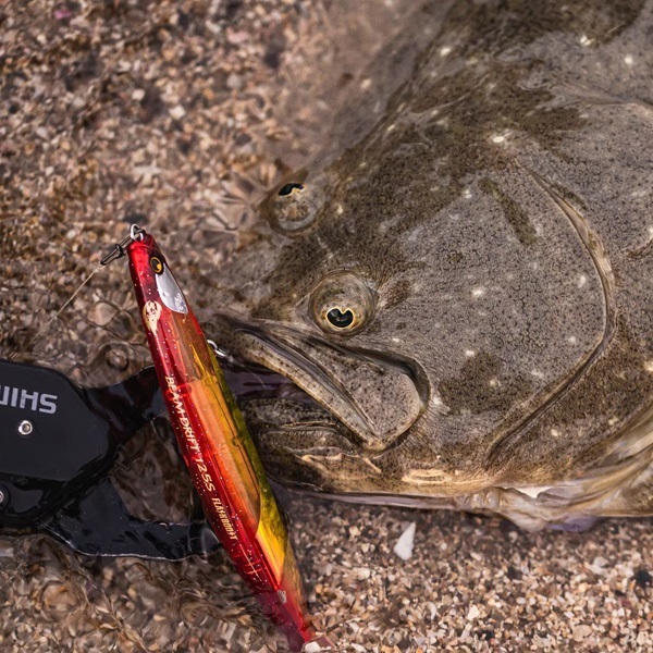 熱砂 ビームドリフト 125S フラッシュブースト